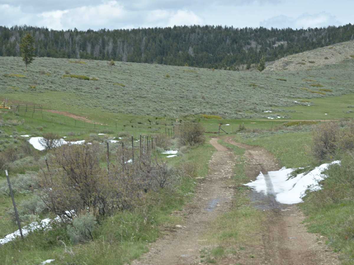 East Draw Diamond Ridge Connector - FS 122 photo 3