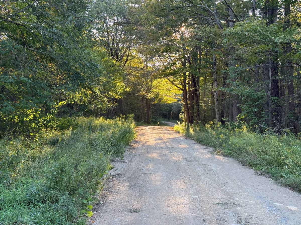 Bump Run - FS 268 trail photo