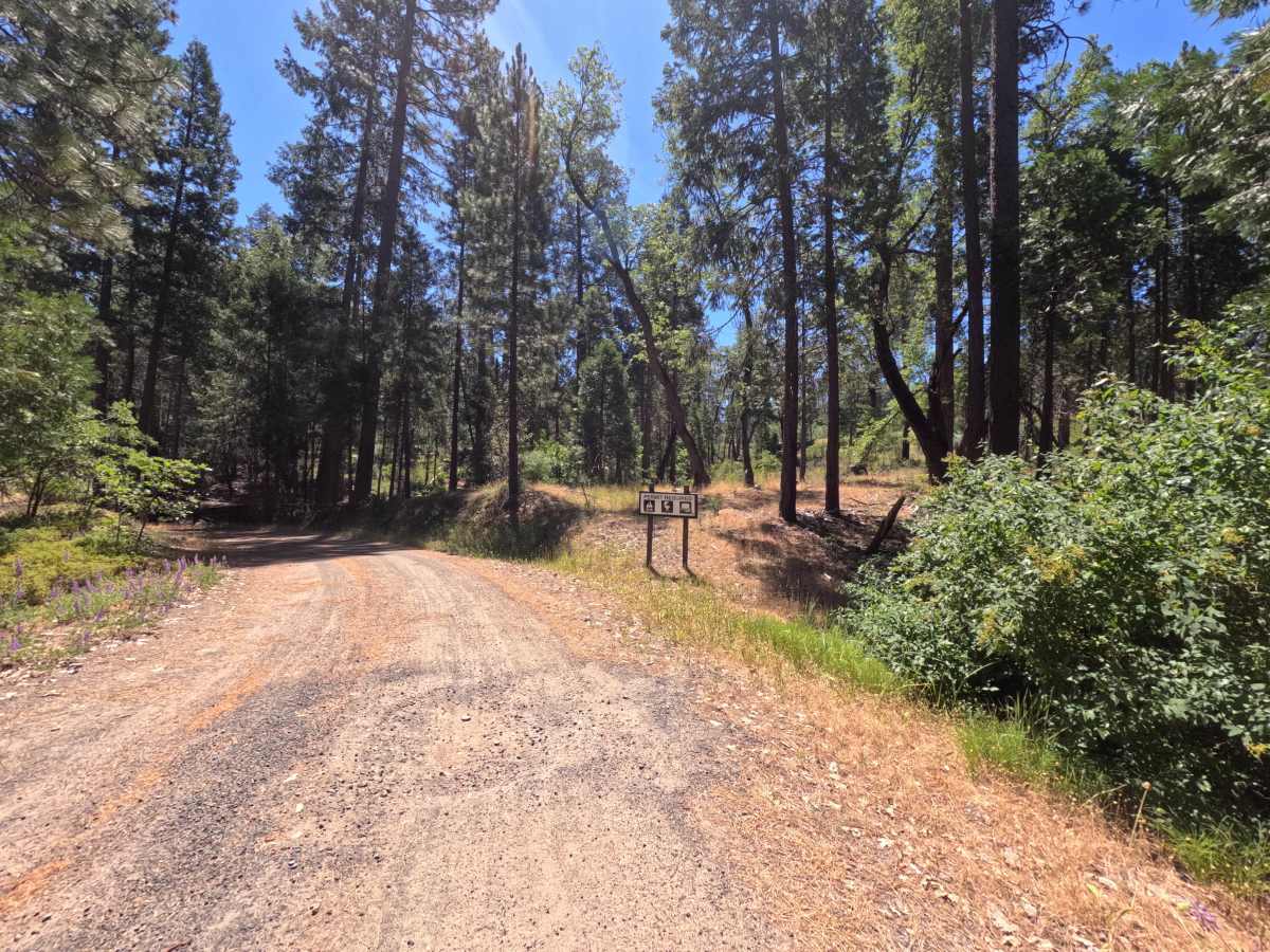 FS 1S13Y trail photo