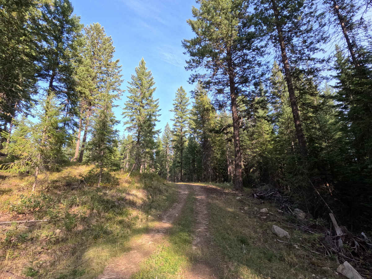 FS 3140510 photo 4