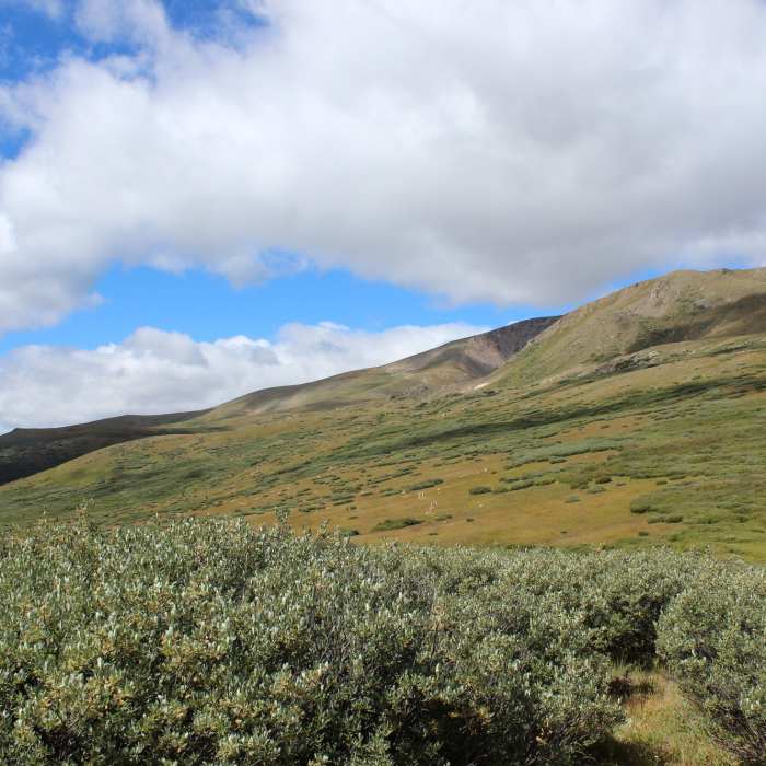 Near Square Top Mountain - Southeast Ridge