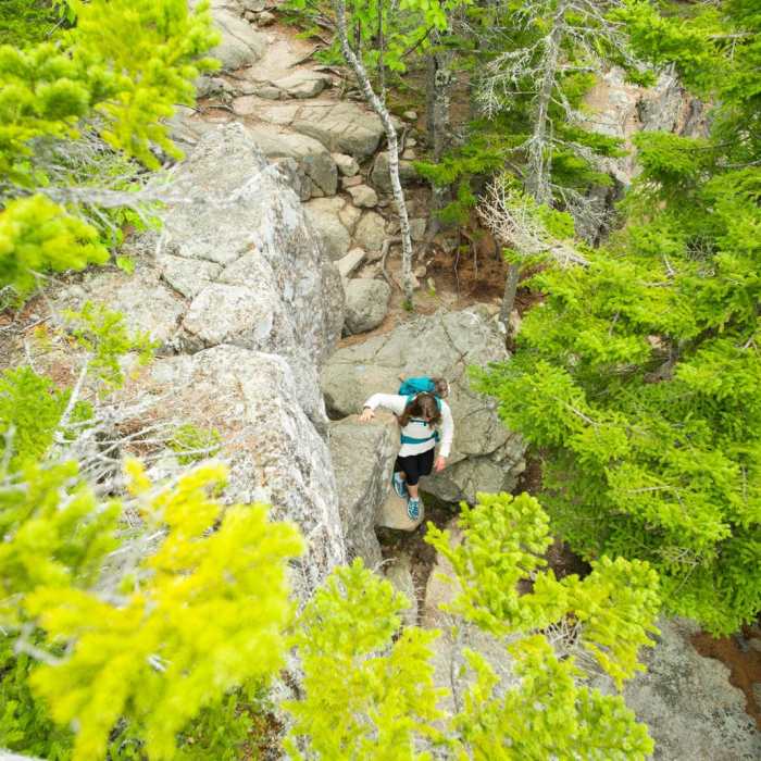 Near Gorham Mountain Loop Near Gorham Mountain Loop