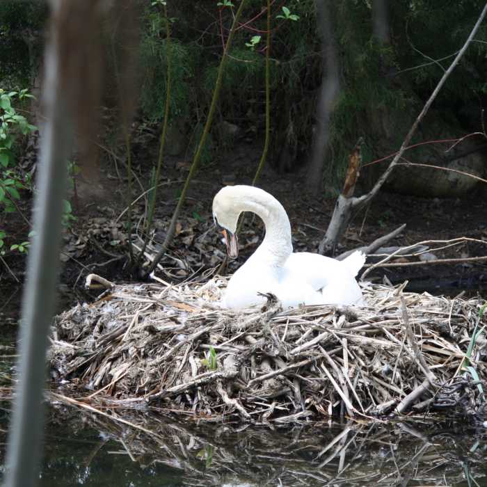 Near Bethine Church River Trail