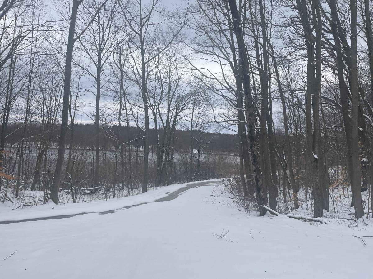 Brush Lake Access Trail - FS 5691 photo 3