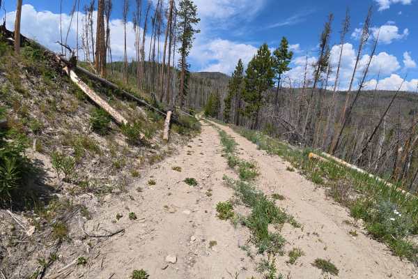 Corral Creek Unit 2 Spur D - FS 112.6D