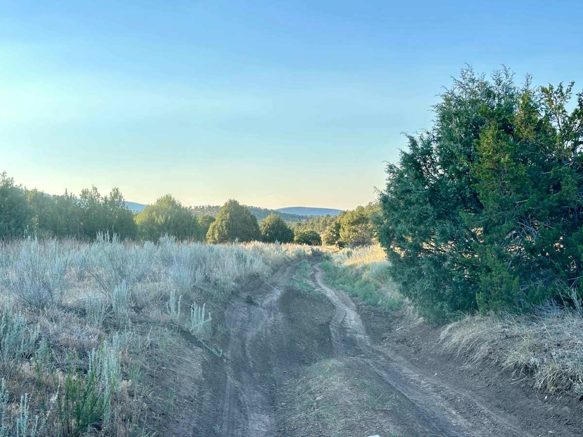 Meadow Ridge Alternate Pass photo 5