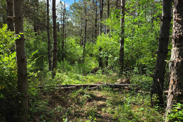 Single Track E