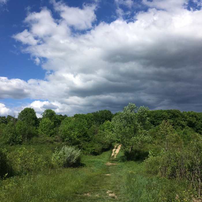 Near Adam Run Trail