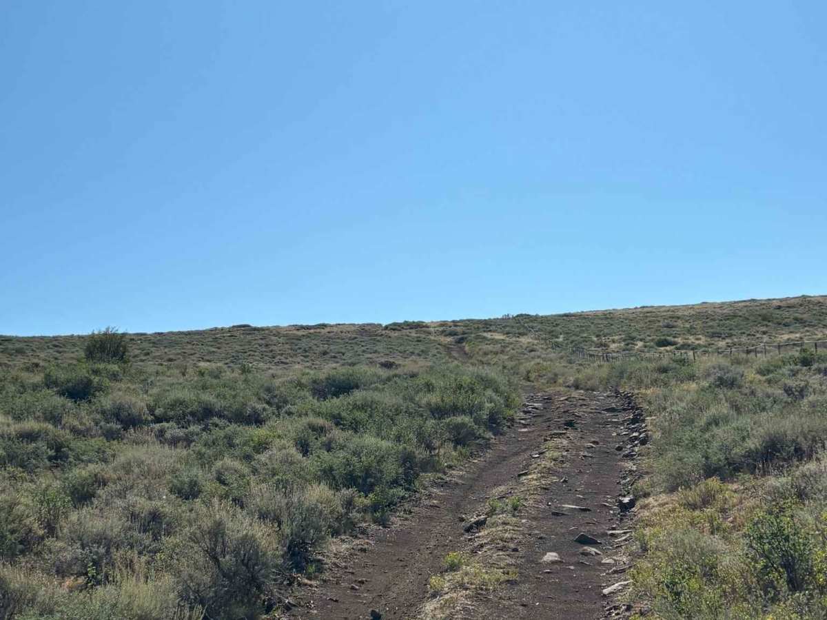 BLM 2759 Cutoff photo 2