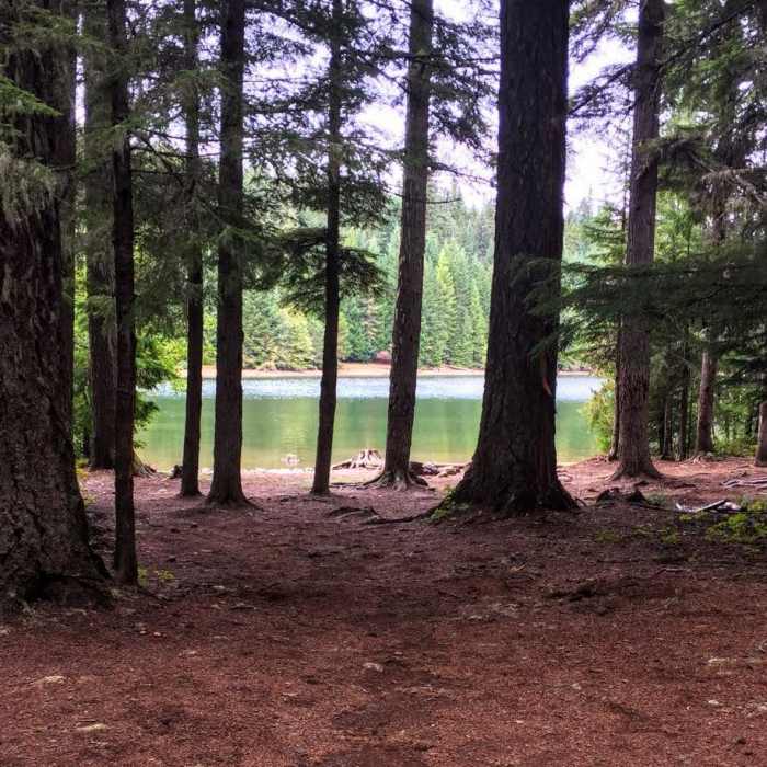 Near Timothy Lake to Frog Lake