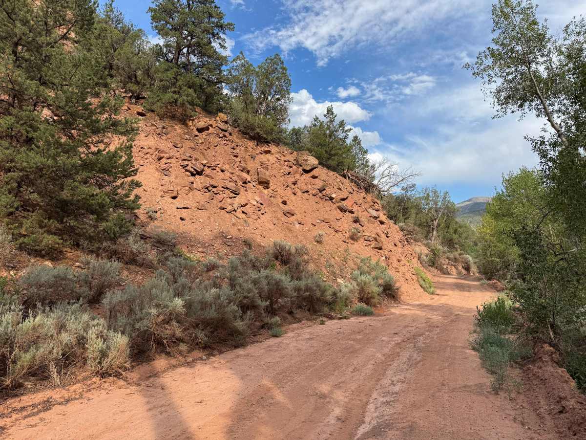 BLM 8458 photo 5