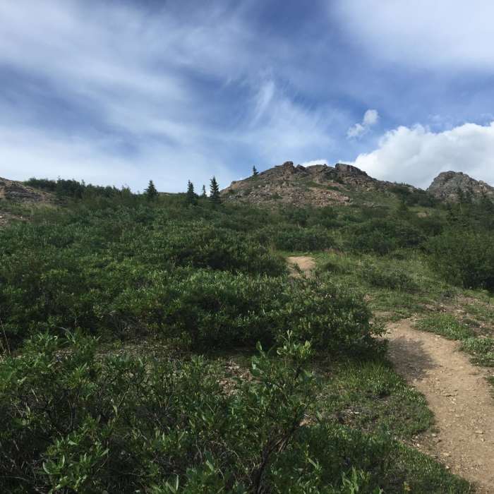 Near Sugar Loaf Mountain Near Sugar Loaf Mountain