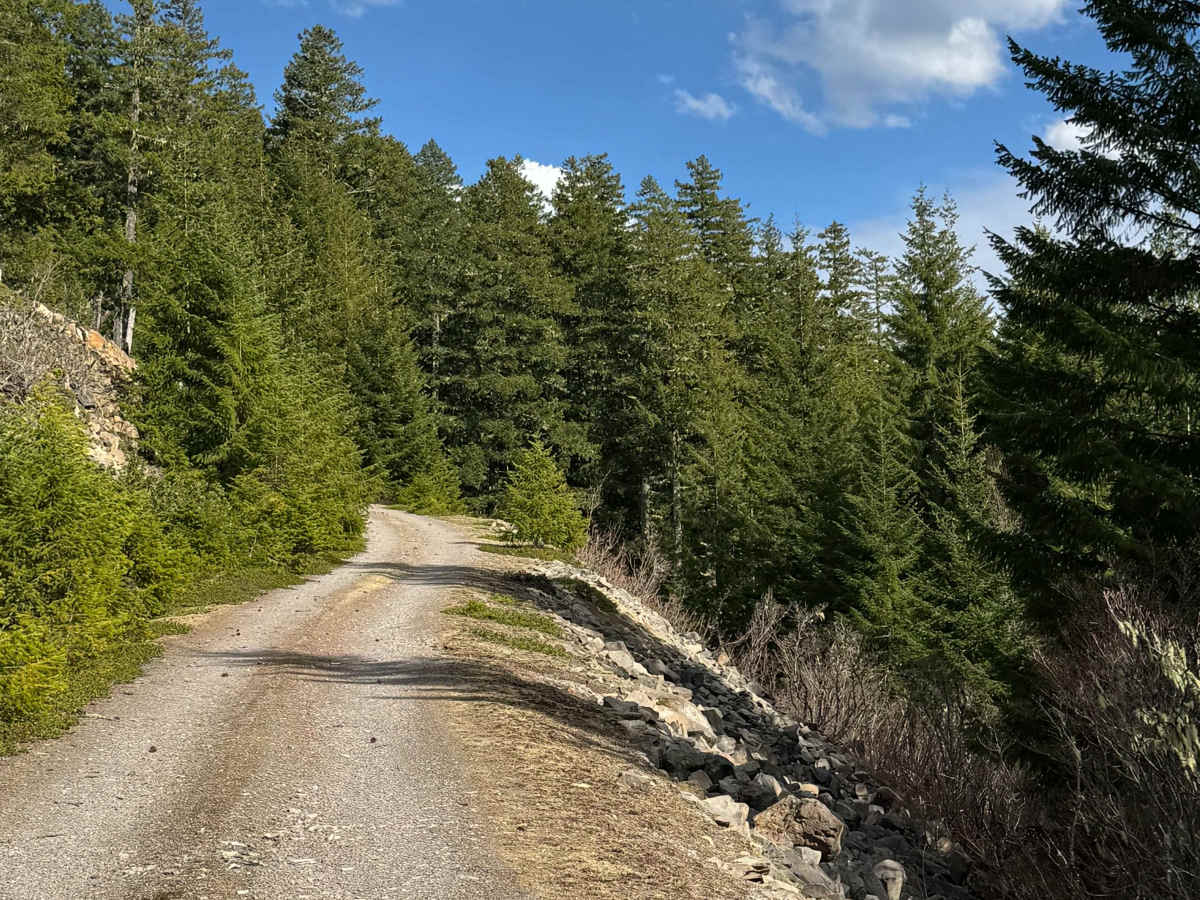 Cort Road- FS 1276 trail photo