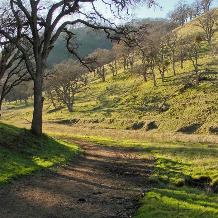 Near Miwok Trail / Hardy Canyon Trail Loop