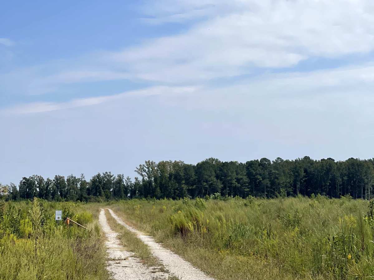 Williams Road trail photo