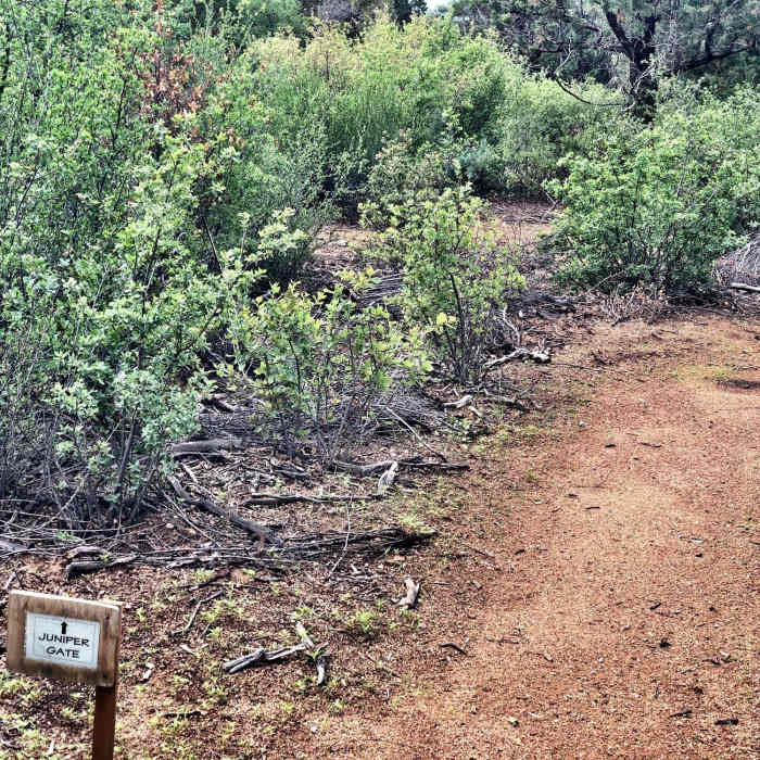 Near Vista Trail