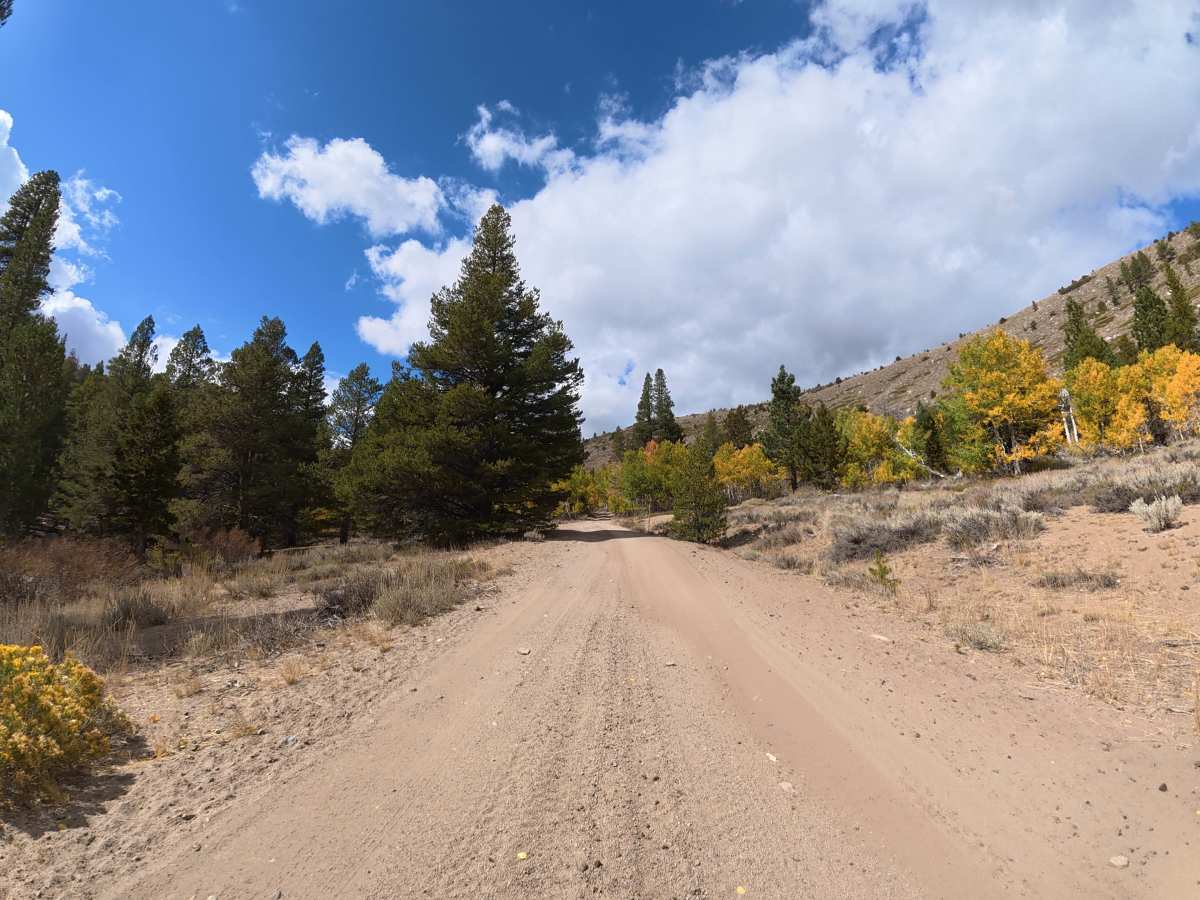 Wolf Creek Spur Road photo 4