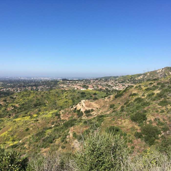 Enjoy this view of the ridgeline from the Peralta Hills Trail. If you look closely, you can see two turkey vultures on the rock. Near Peralta Hills Trail