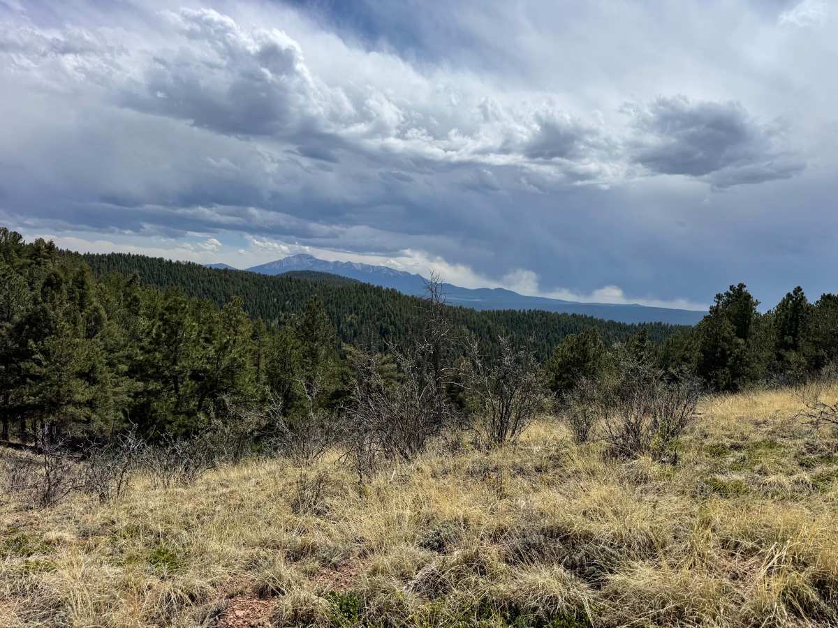 Upper Johnson Gulch Rd (FS300) photo 6