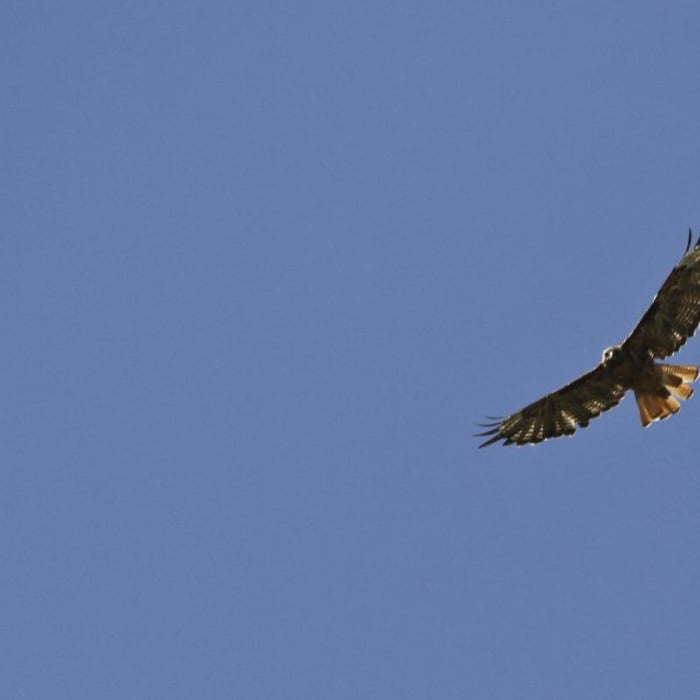 Near China Basin Road
