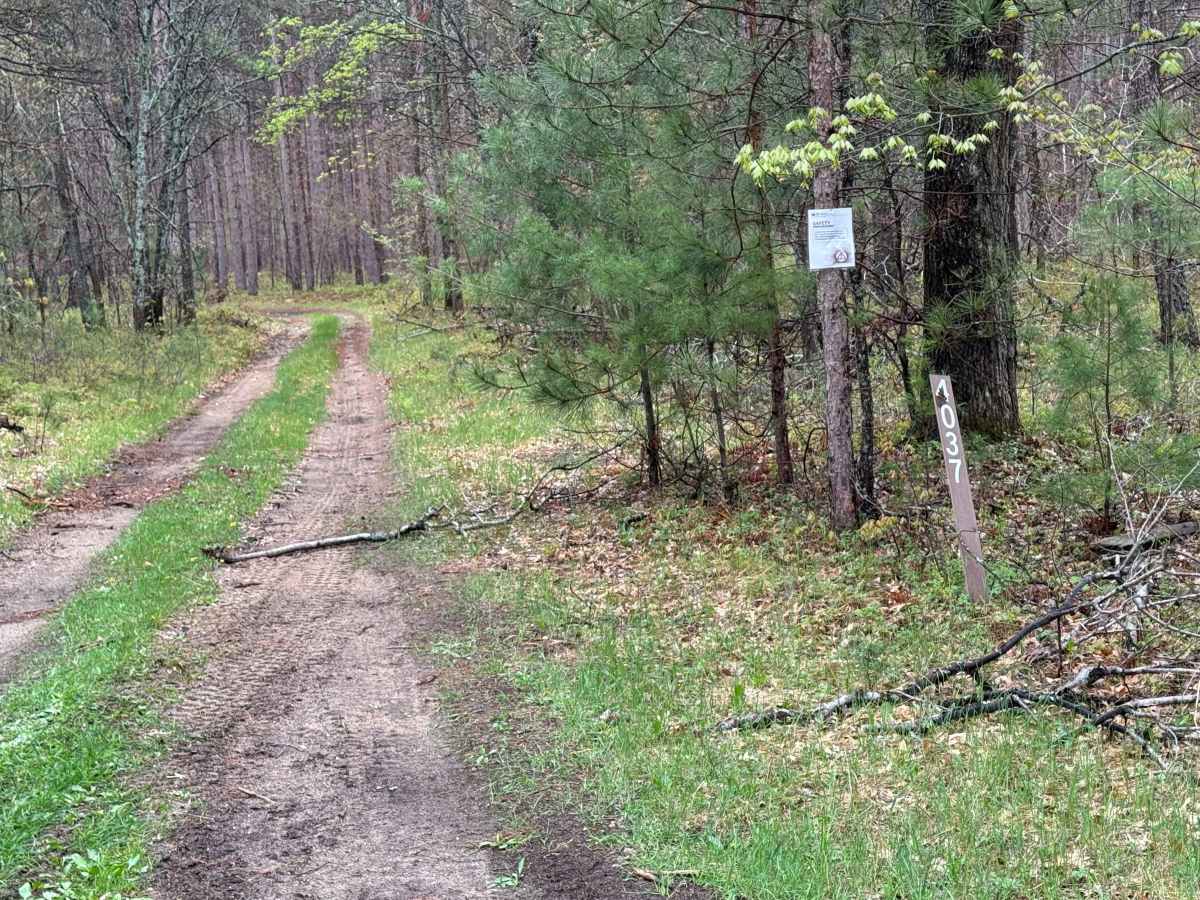 FS4037 trail photo
