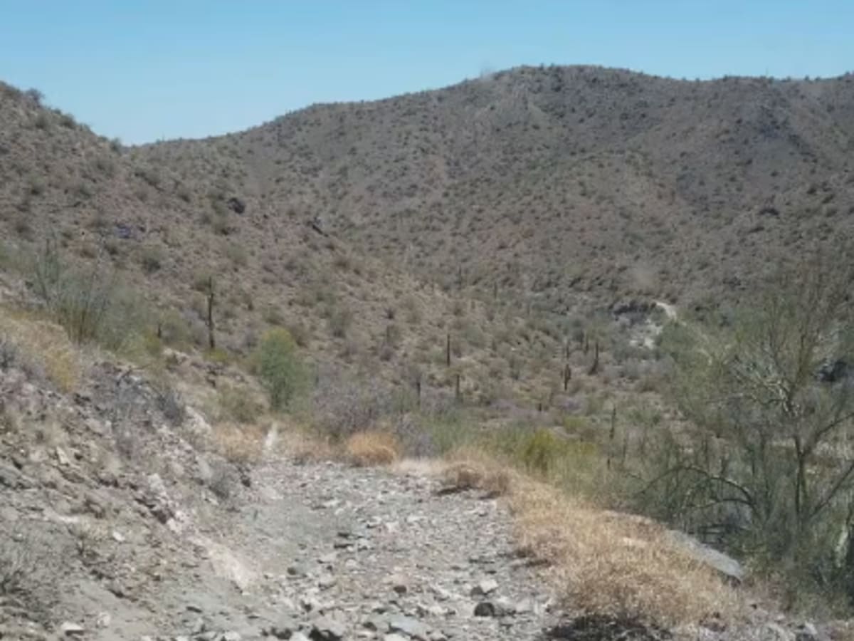 Monterey Mine photo 5