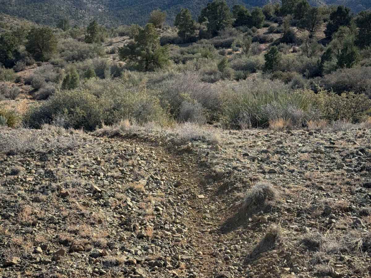 Hualapai Singletrack photo 4