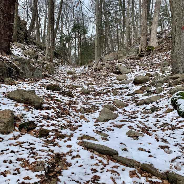 Near Meyer Preserve Full Perimeter