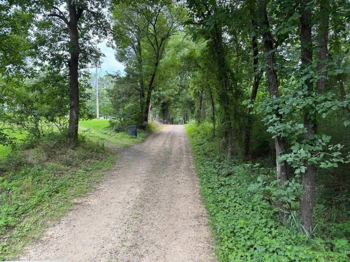 County Road 3546 trail photo