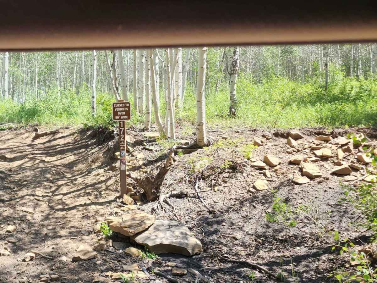 Spring Creek Road photo 5