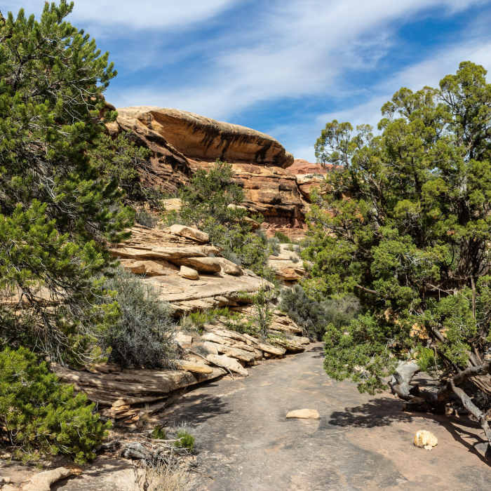 Near Lost Canyon Trail