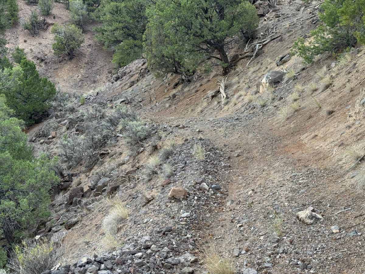 BLM 2722 photo 4