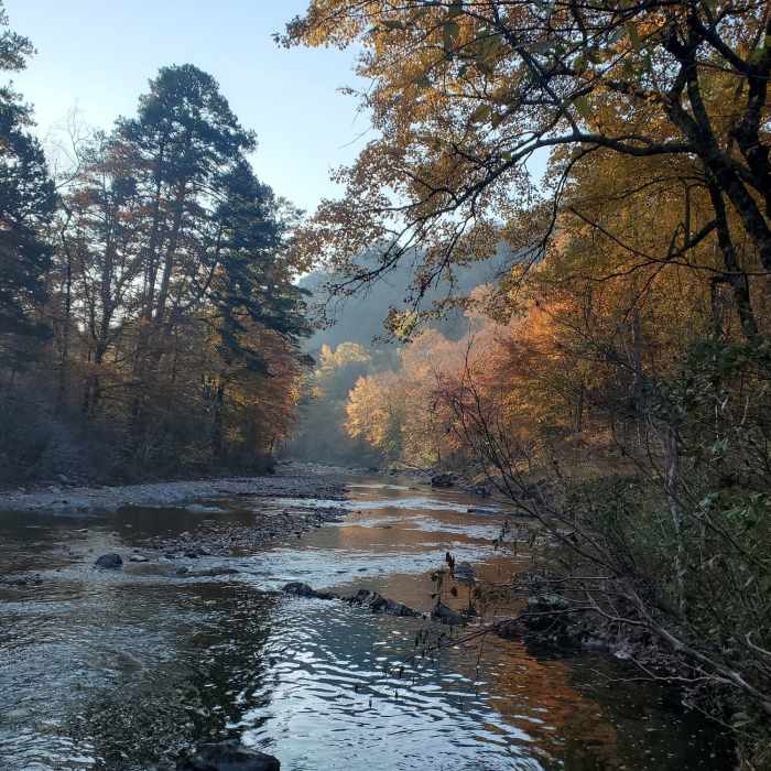USFS Map section 5, where Long Creek enters the Little Missiouri. Forest service road 512 bridge. 11/07/2020 Near ERL- Eagle Rock Loop