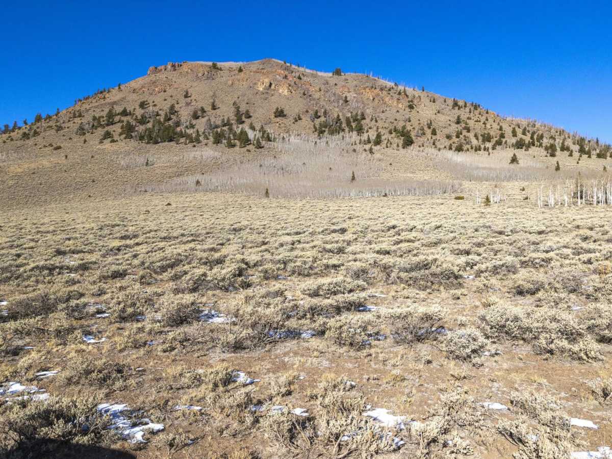 Geyser Peak Trail photo 3