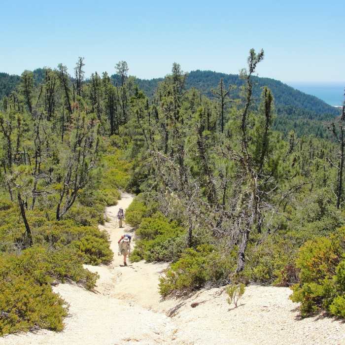Near McCrary Ridge Trail