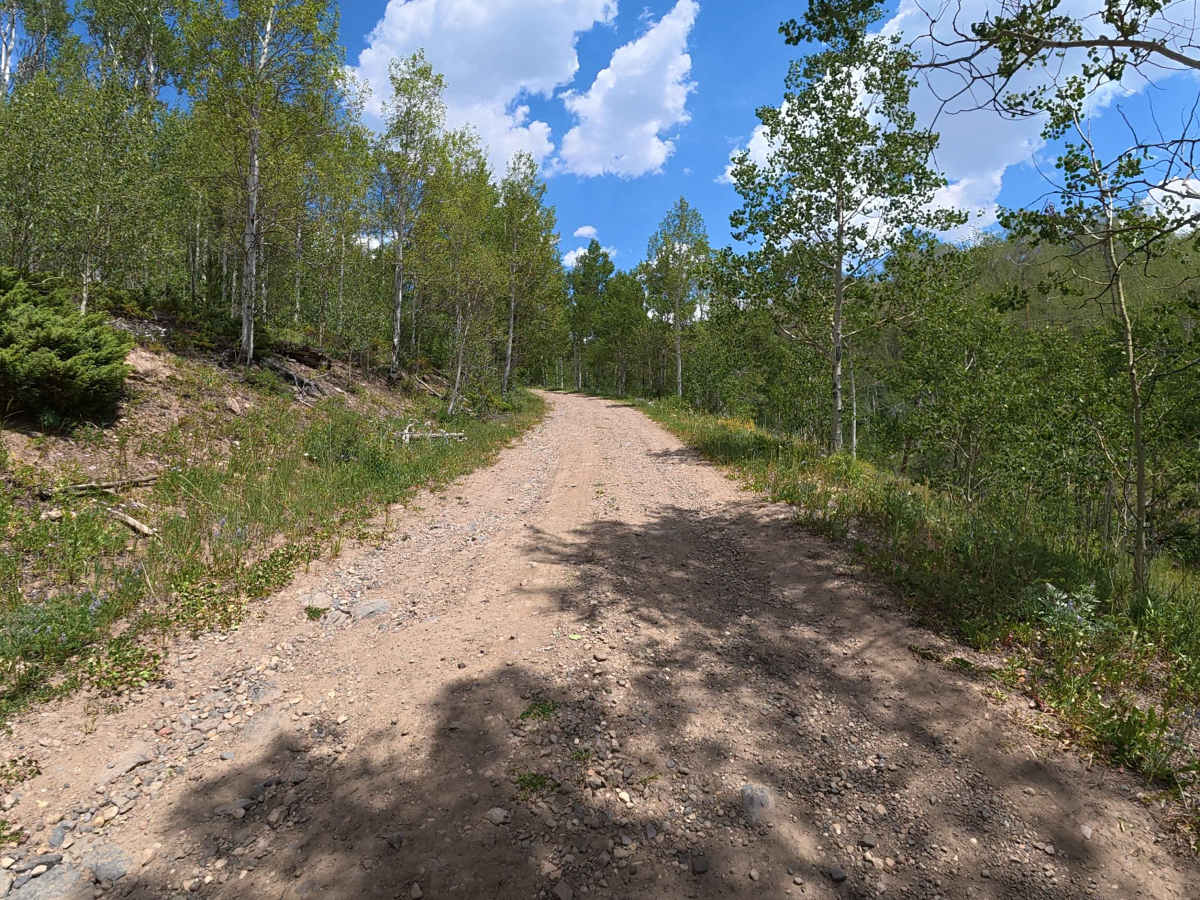 County Road 216 photo 4