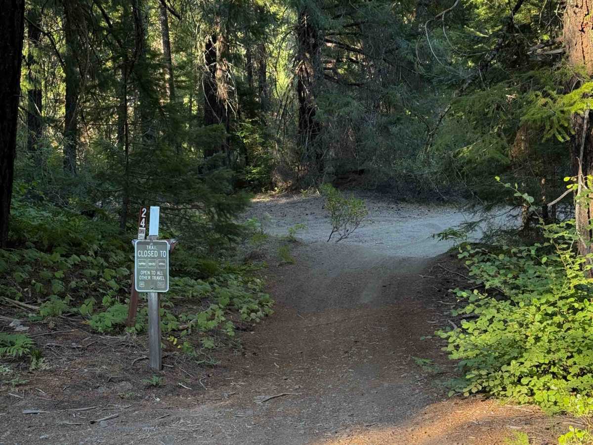 Elk Trail #24  photo 3