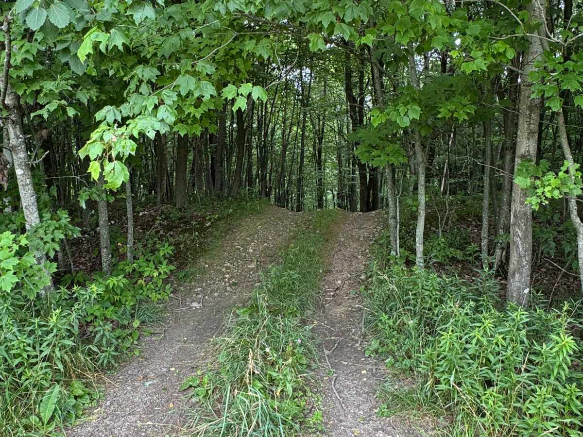 Trail 31 photo 6
