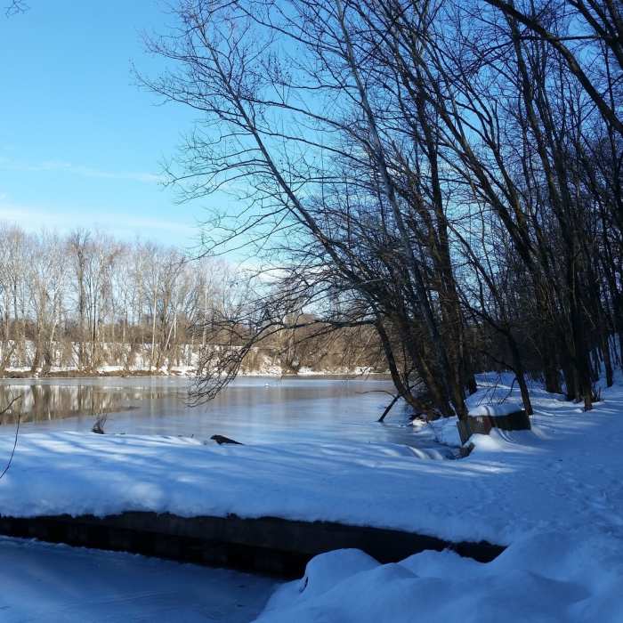 Near Upper Schuylkill River Trail