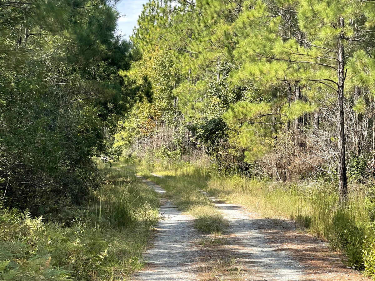 Ella Mae Road photo 4
