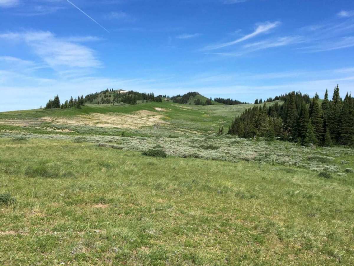 Big Hole Crest photo 3