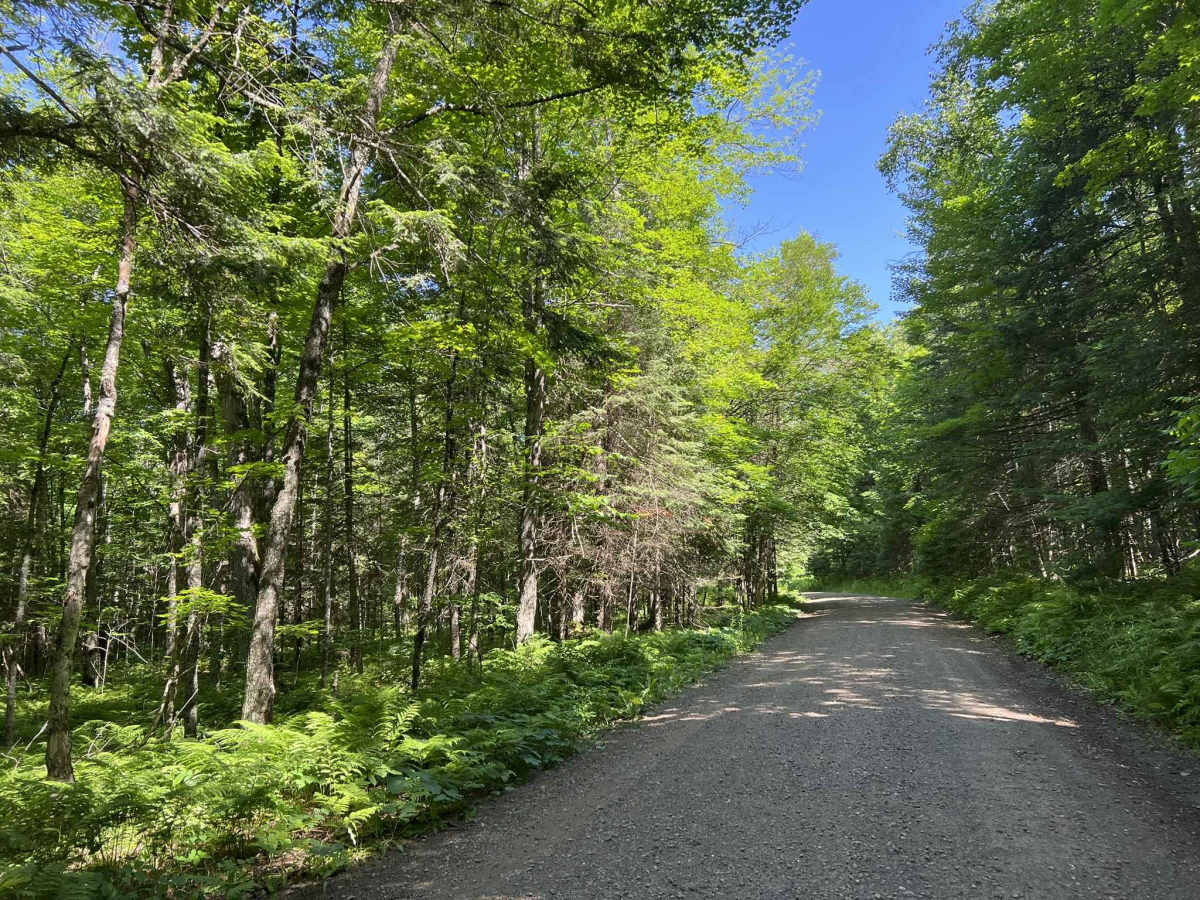 Browns Road - FS 2132 photo 2