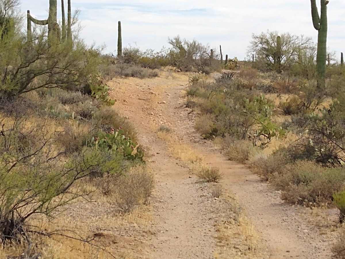 Davis Pathway photo 3