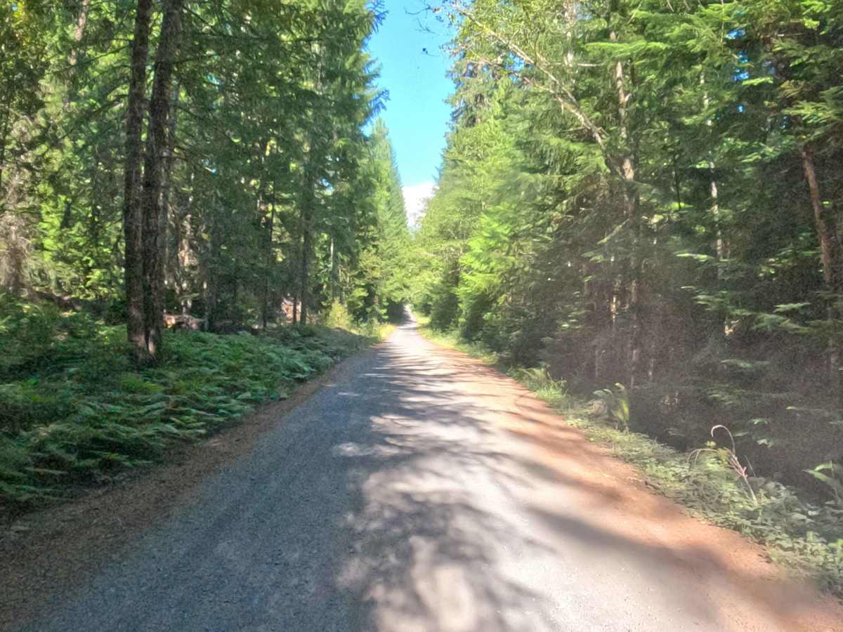 Pamelia Creek - FS 2246000  trail photo