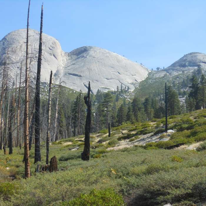 Mount Starr King from the Mono Meadow Cutoff Trail. Near Mono Meadow Cutoff