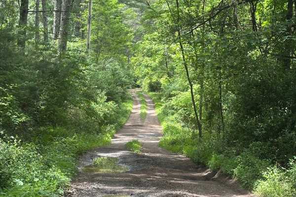 Waggy Run