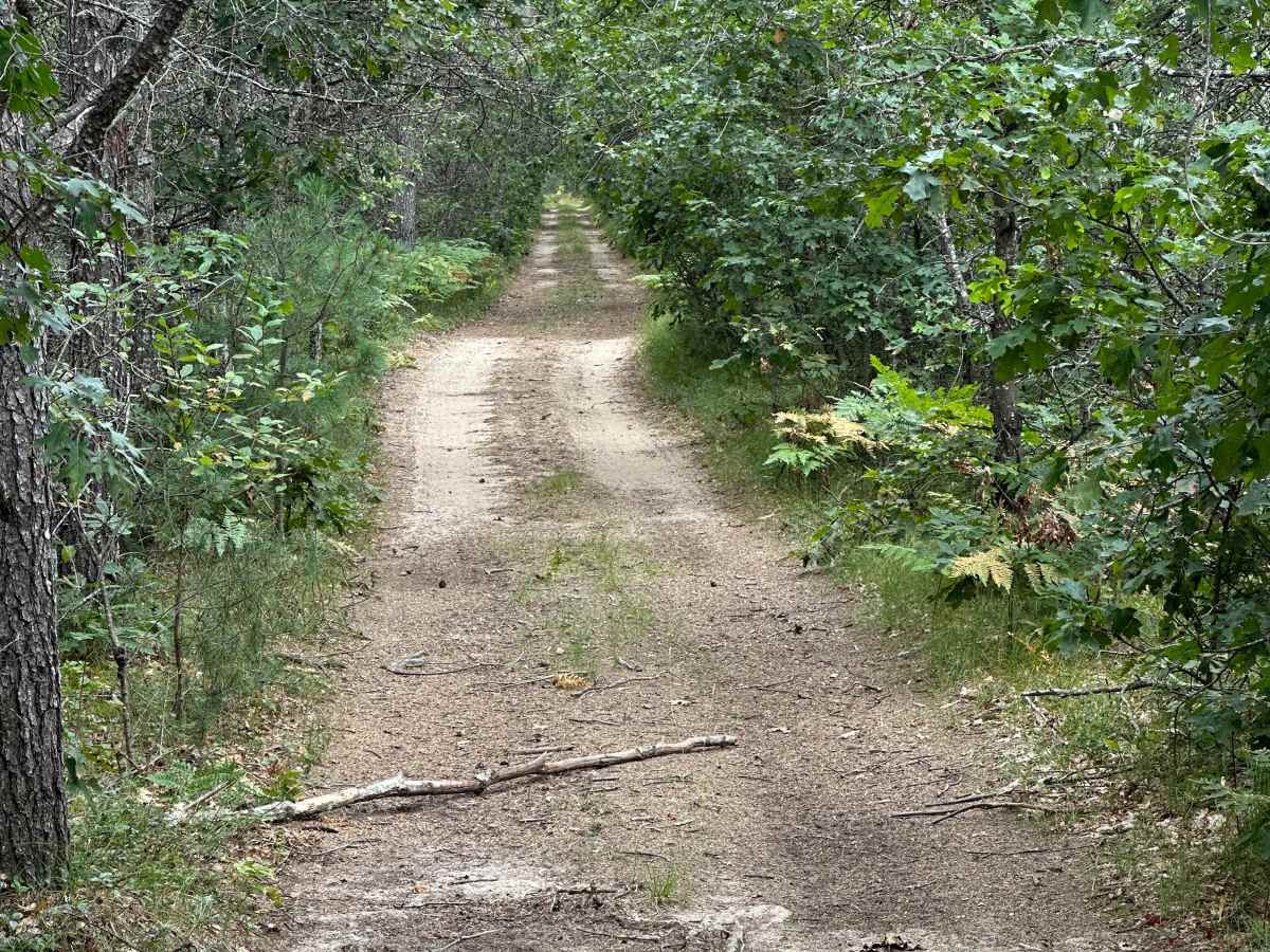 Muma Road photo 4