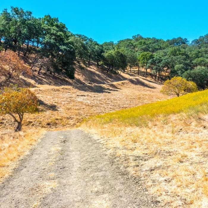 Near Castle Rock Trail via Stage Road Trail