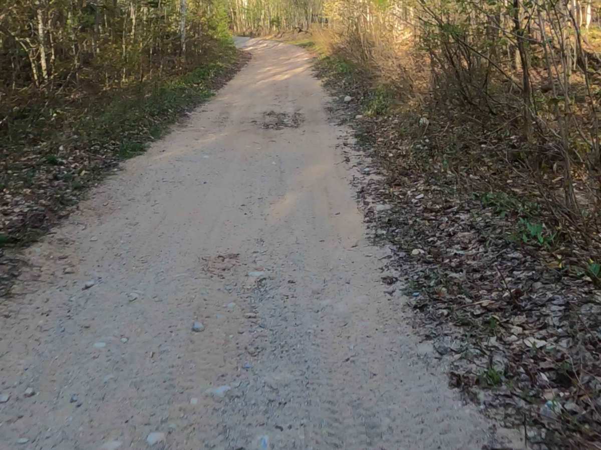 North Brumm Road photo 4