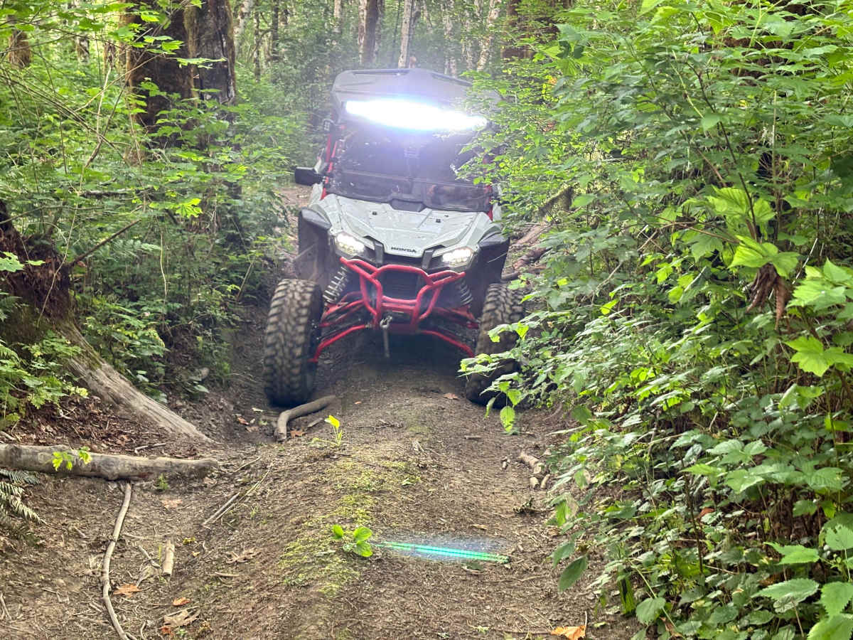 Sauk River Forest Loop photo 2